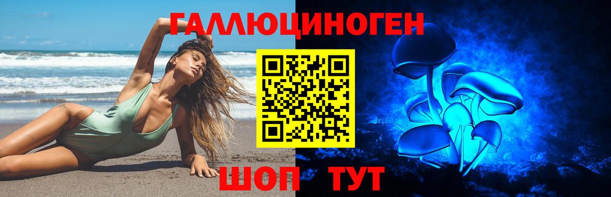 Галлюциногенные грибы GOLDEN TEACHER  Псилоцибиновые грибы Cubensis  Вход с VPN  Рузаевка 
